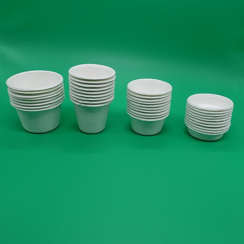 Zuckerrohrbecher sugarcane cups