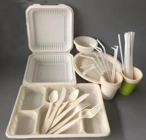 Biologisch abbaubare PLA-Imbissnahrungsmittel-Lunchbox