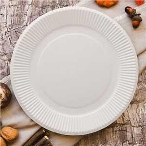 Kompostierbare Einweg-Papierplatten