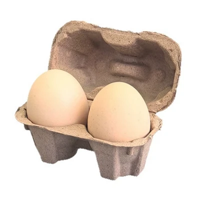2-Zellen-Eierpapier-Zellstoff-Eierablage-Eierkarton
